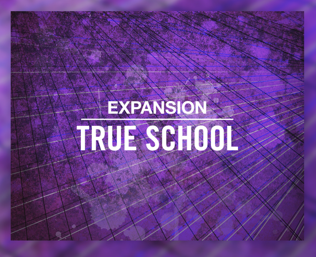 Native Instruments Expansion - True School